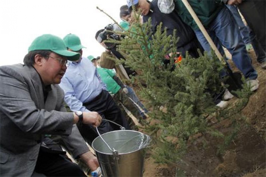 Ерөнхийлөгч Ц.Элбэгдорж Налайх дүүрэгт мод тарилаа