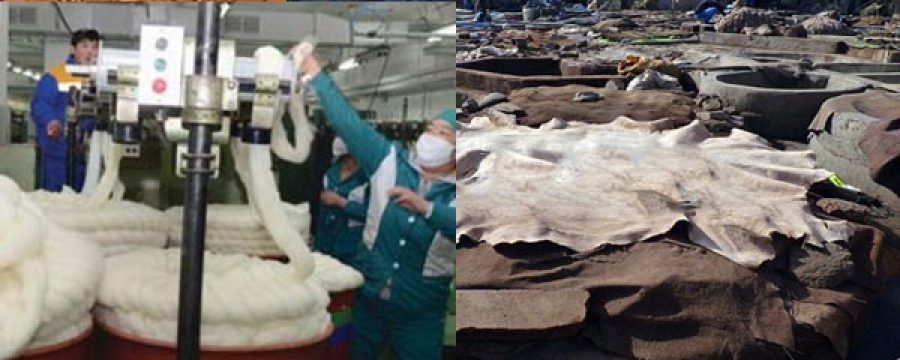 Дотоодын үйлдвэрүүд эдийн засагт “донор” болно
