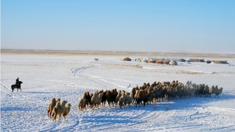 Говь-Алтай аймгийн  өмнөд хэсгээр салхи секундэд 18-20 метр хүрч ширүүснэ