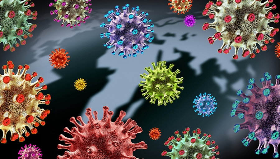 Сүүлийн 24 цагт 21-81 насны 19 хүн коронавирусийн хадвараар нас барлаа