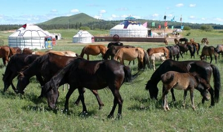 Монгол Улсын нийт мал 52 саяд хүрлээ