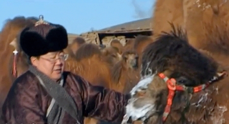 Ерөнхийлөгч Ц.Элбэгдорж Мянгат тэмээчнийд очиж золгож байна