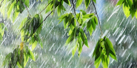 Улаанбаатарт дуу цахилгаантай аадар бороотой, 24-26 хэм дулаан байна