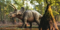 68 сая жилийн настай динозаврын яс олджээ