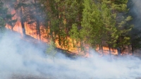 Сэлэнгэ аймагт гарсан ой, хээрийн гал түймрийг унтраахаар ажиллаж байна