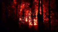 Сэлэнгэ аймгийн Ерөө суманд гарсан ой, хээрийн гал түймрийг бүрэн унтраалаа